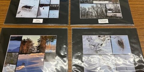 Themes Through the Lens