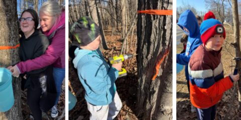 Tapping Trees + Maine AG in the Classroom